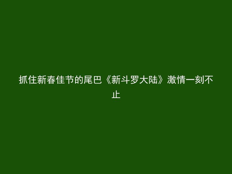 抓住新春佳节的尾巴《新斗罗大陆》激情一刻不止