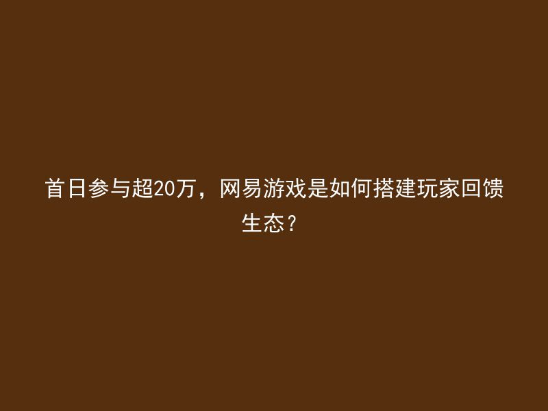 首日参与超20万，网易游戏是如何搭建玩家回馈生态？