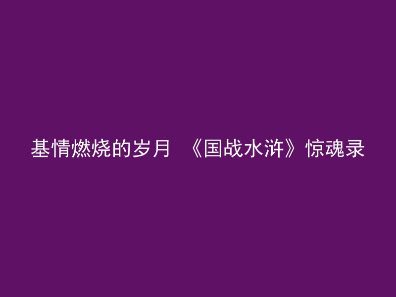 基情燃烧的岁月 《国战水浒》惊魂录