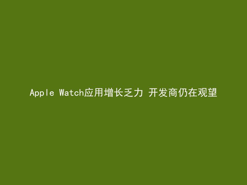 Apple Watch应用增长乏力 开发商仍在观望