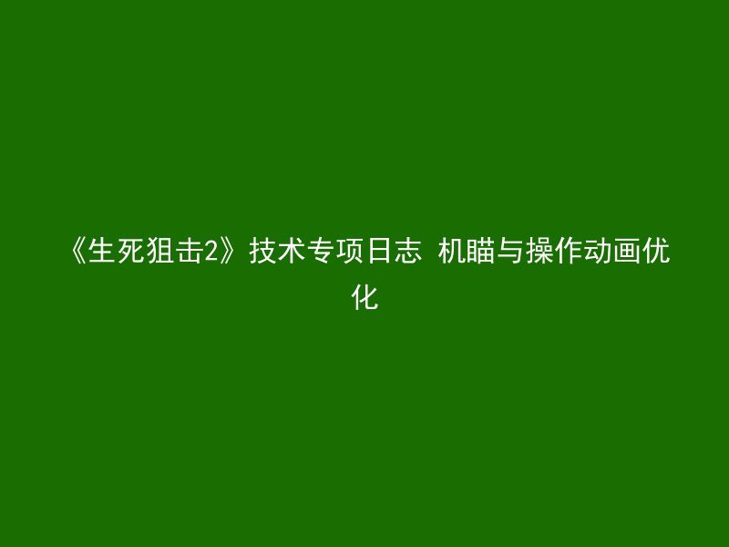 《生死狙击2》技术专项日志 机瞄与操作动画优化