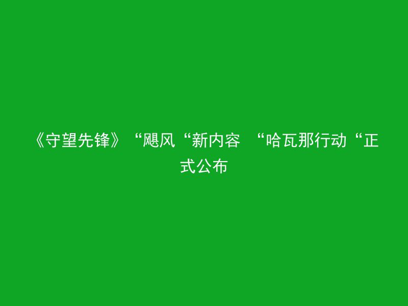 《守望先锋》“飓风“新内容 “哈瓦那行动“正式公布