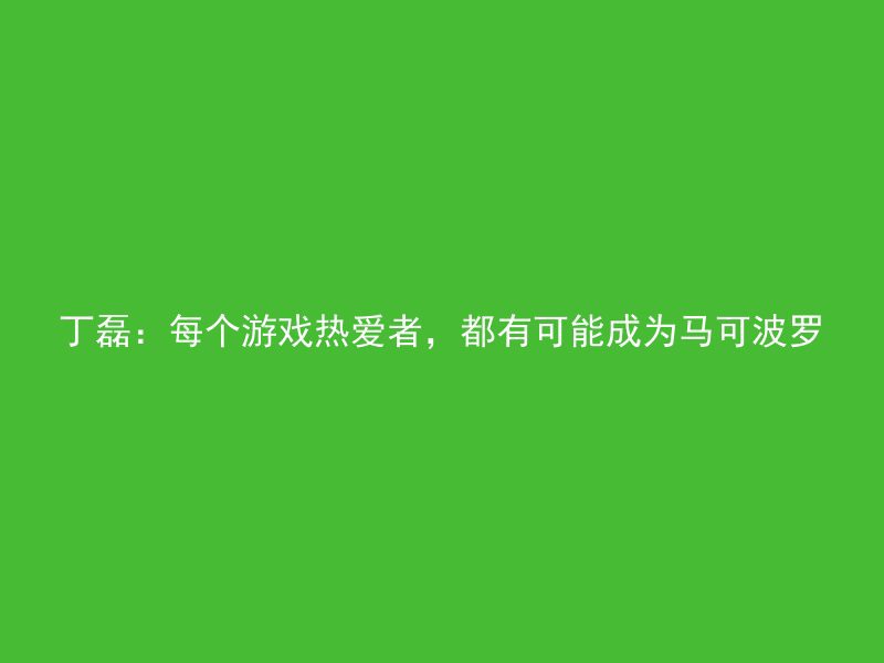 丁磊：每个游戏热爱者，都有可能成为马可波罗