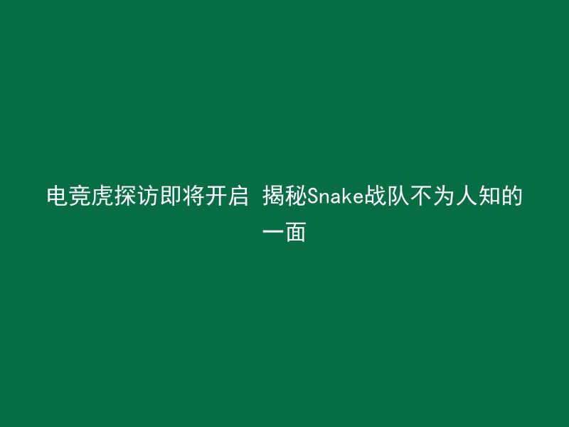 电竞虎探访即将开启 揭秘Snake战队不为人知的一面