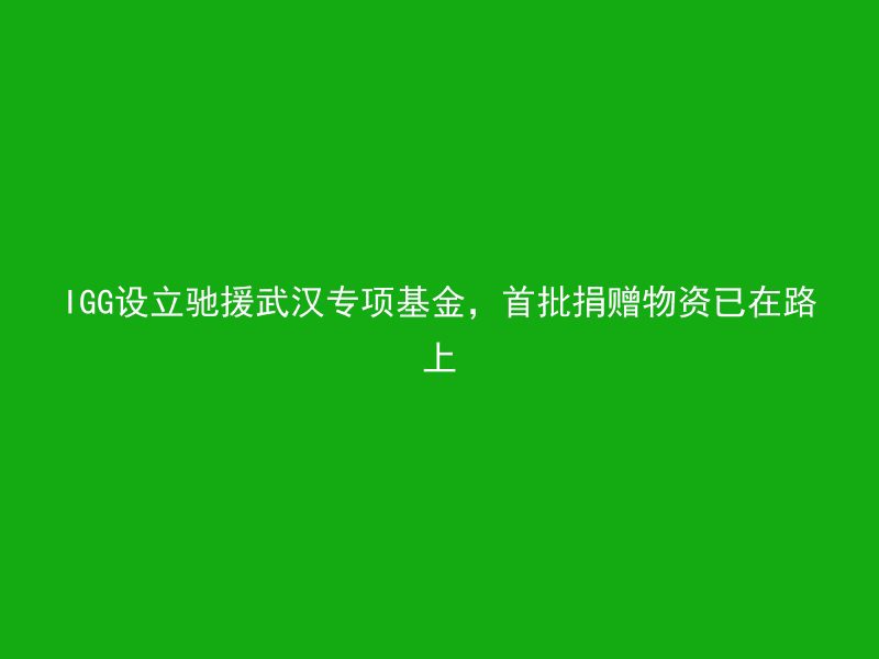 IGG设立驰援武汉专项基金，首批捐赠物资已在路上