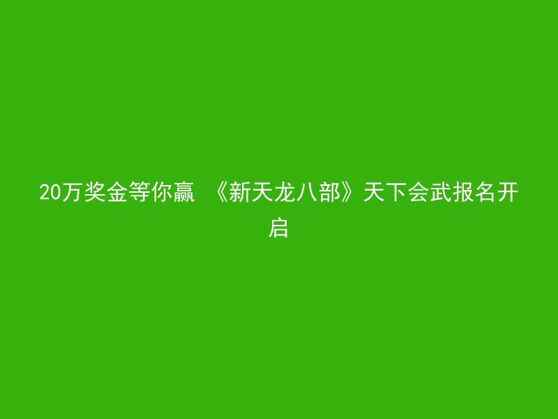 20万奖金等你赢 《新天龙八部》天下会武报名开启