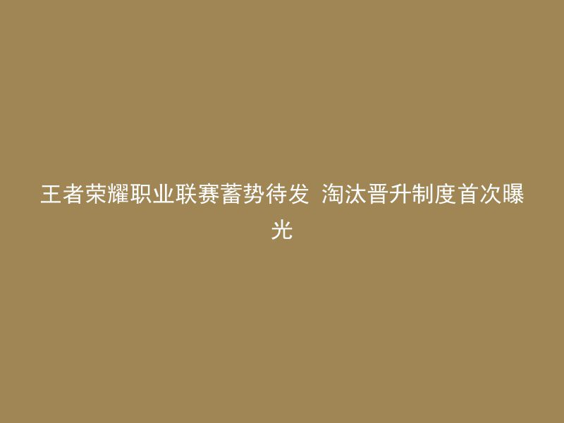 王者荣耀职业联赛蓄势待发 淘汰晋升制度首次曝光