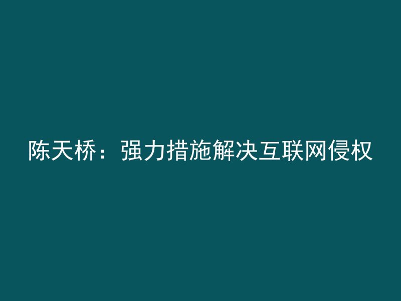 陈天桥：强力措施解决互联网侵权