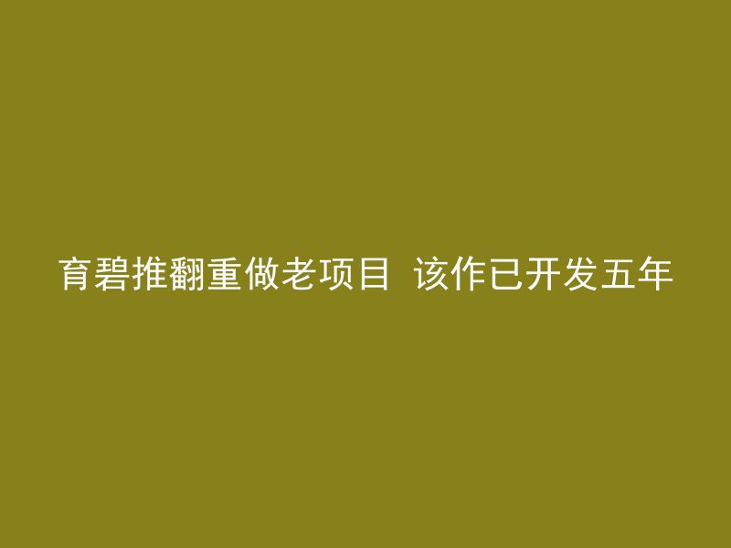 育碧推翻重做老项目 该作已开发五年