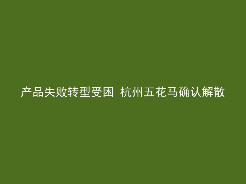 产品失败转型受困 杭州五花马确认解散