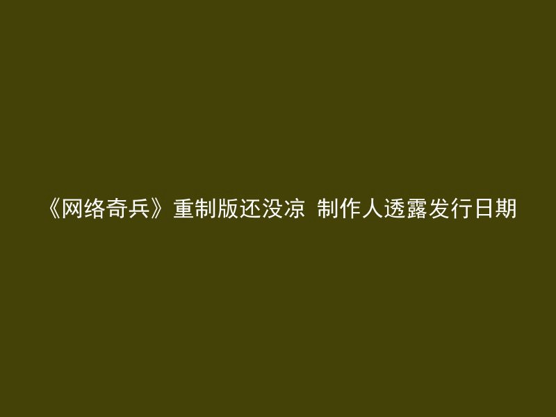 《网络奇兵》重制版还没凉 制作人透露发行日期