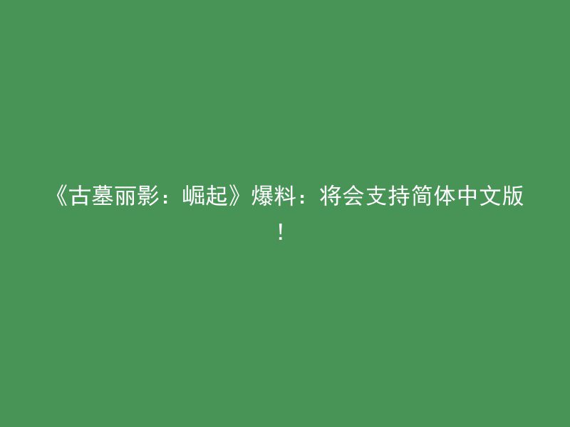 《古墓丽影：崛起》爆料：将会支持简体中文版！