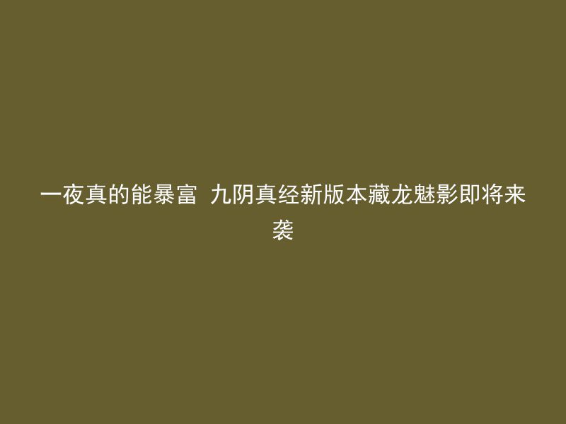 一夜真的能暴富 九阴真经新版本藏龙魅影即将来袭