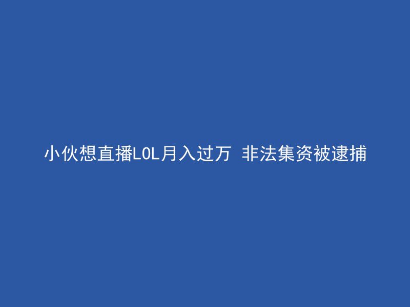 小伙想直播LOL月入过万 非法集资被逮捕