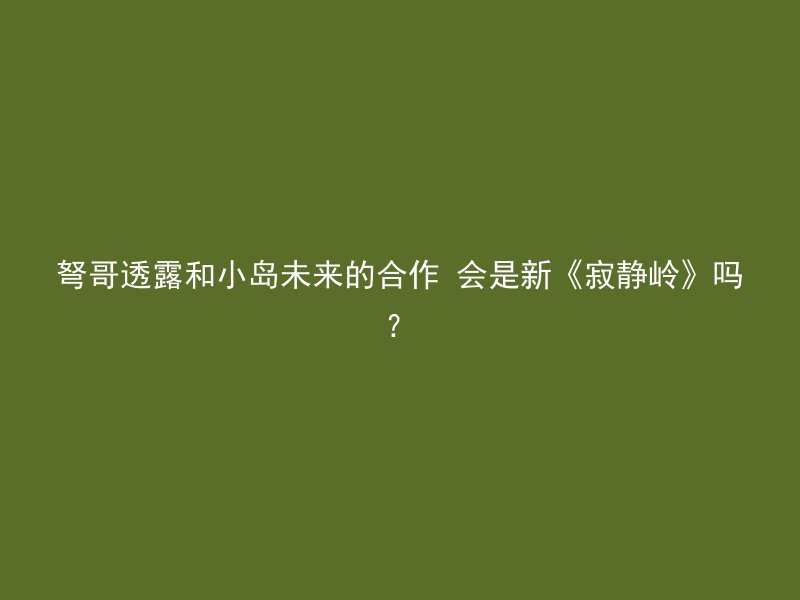 弩哥透露和小岛未来的合作 会是新《寂静岭》吗？