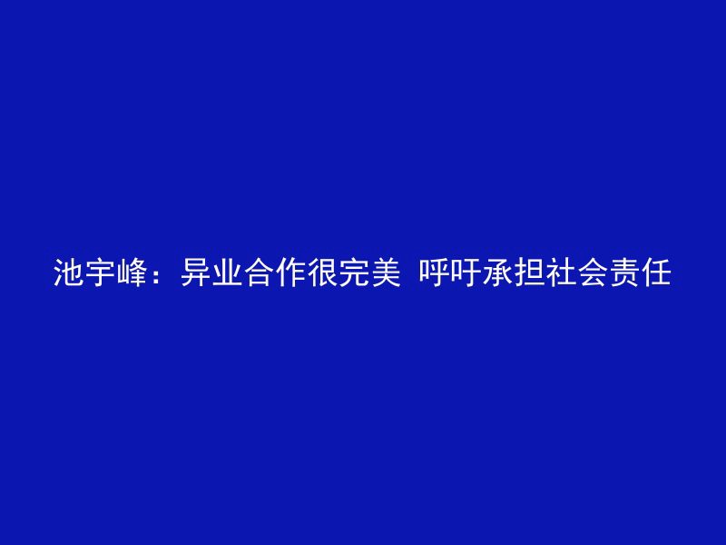 池宇峰：异业合作很完美 呼吁承担社会责任