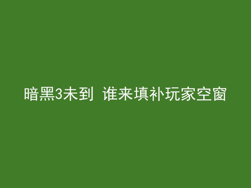 暗黑3未到 谁来填补玩家空窗