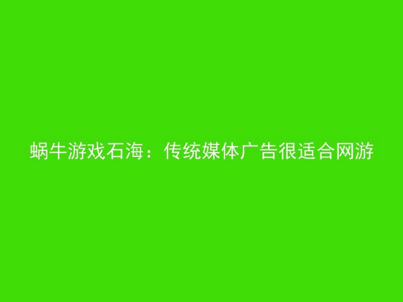 蜗牛游戏石海：传统媒体广告很适合网游