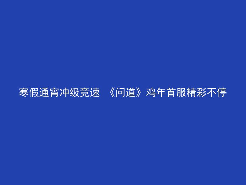 寒假通宵冲级竞速 《问道》鸡年首服精彩不停