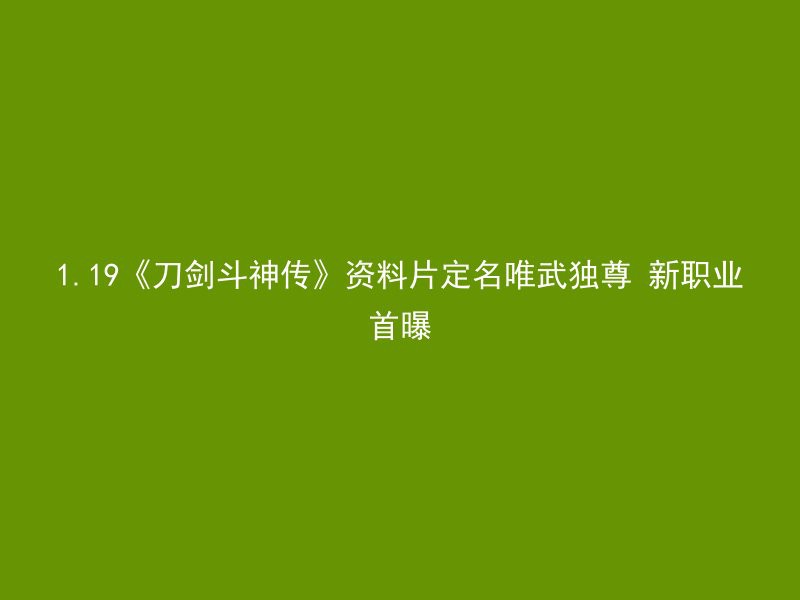 1.19《刀剑斗神传》资料片定名唯武独尊 新职业首曝