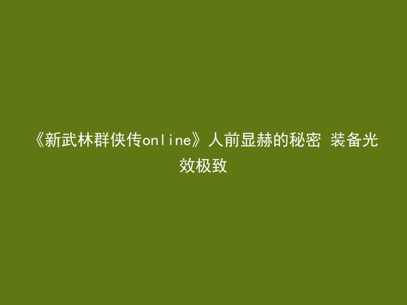 《新武林群侠传online》人前显赫的秘密 装备光效极致