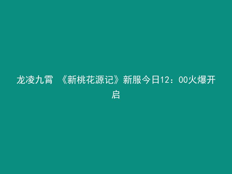 龙凌九霄 《新桃花源记》新服今日12：00火爆开启