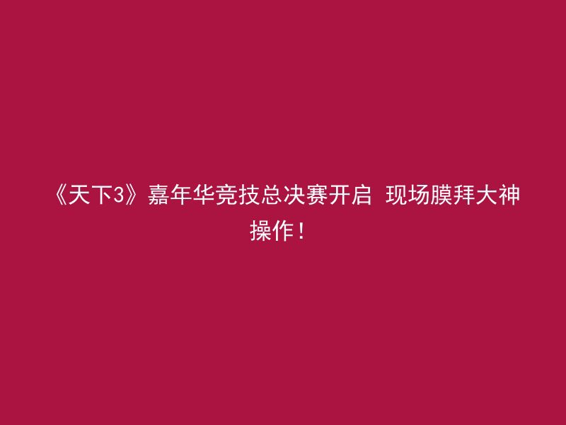 《天下3》嘉年华竞技总决赛开启 现场膜拜大神操作！