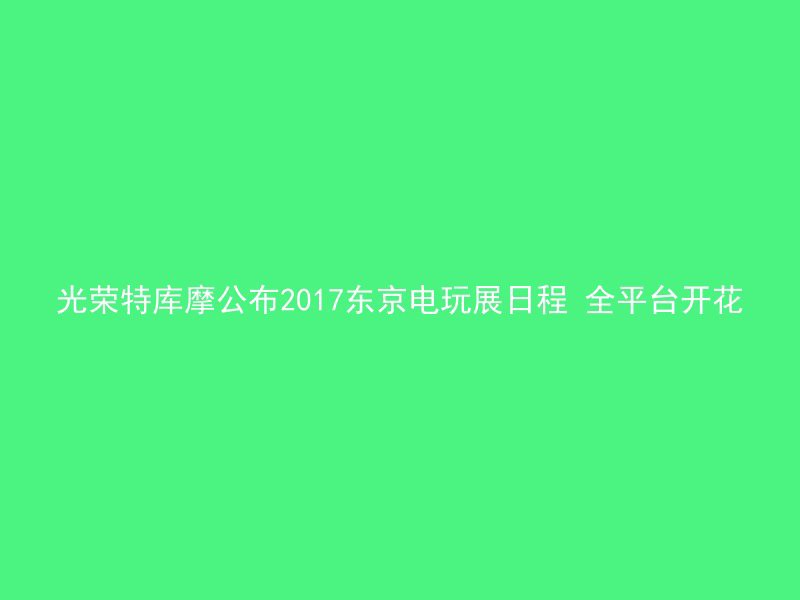 光荣特库摩公布2017东京电玩展日程 全平台开花