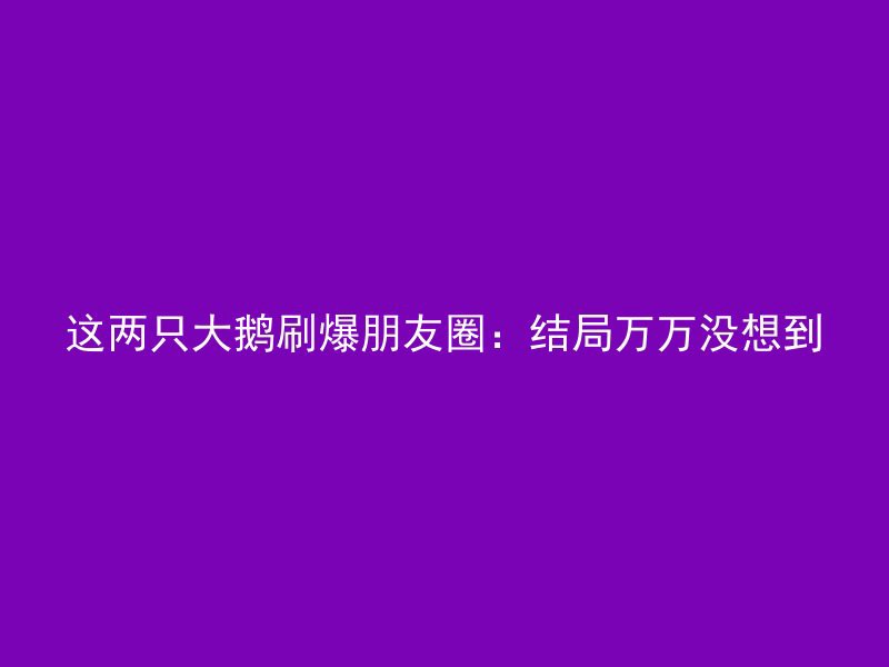 这两只大鹅刷爆朋友圈：结局万万没想到