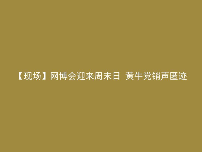 【现场】网博会迎来周末日 黄牛党销声匿迹