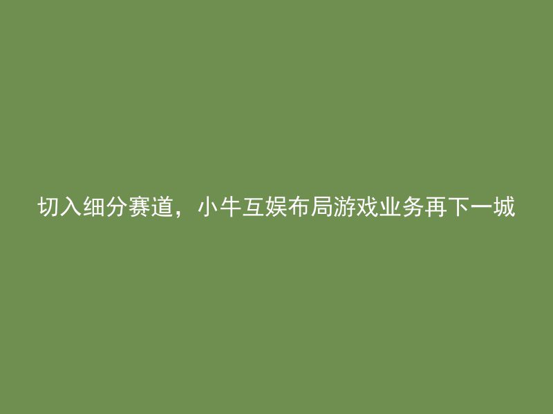 切入细分赛道，小牛互娱布局游戏业务再下一城