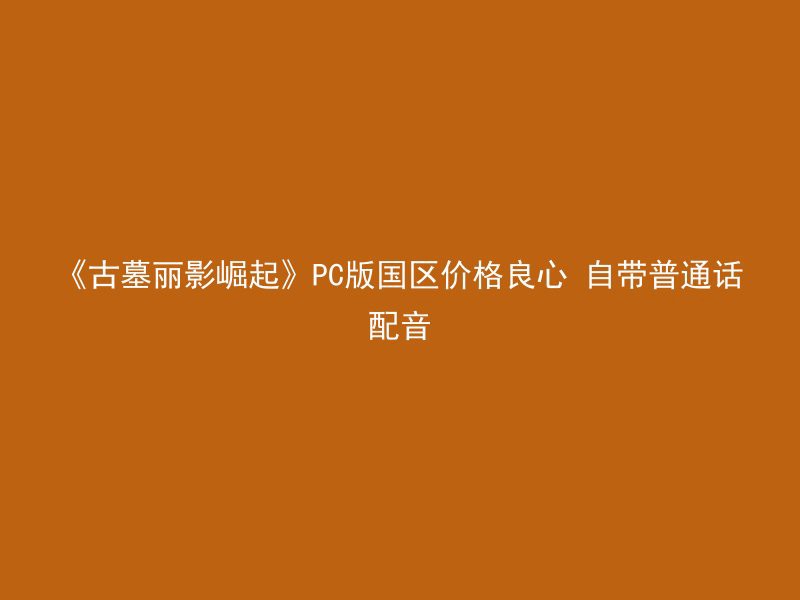 《古墓丽影崛起》PC版国区价格良心 自带普通话配音