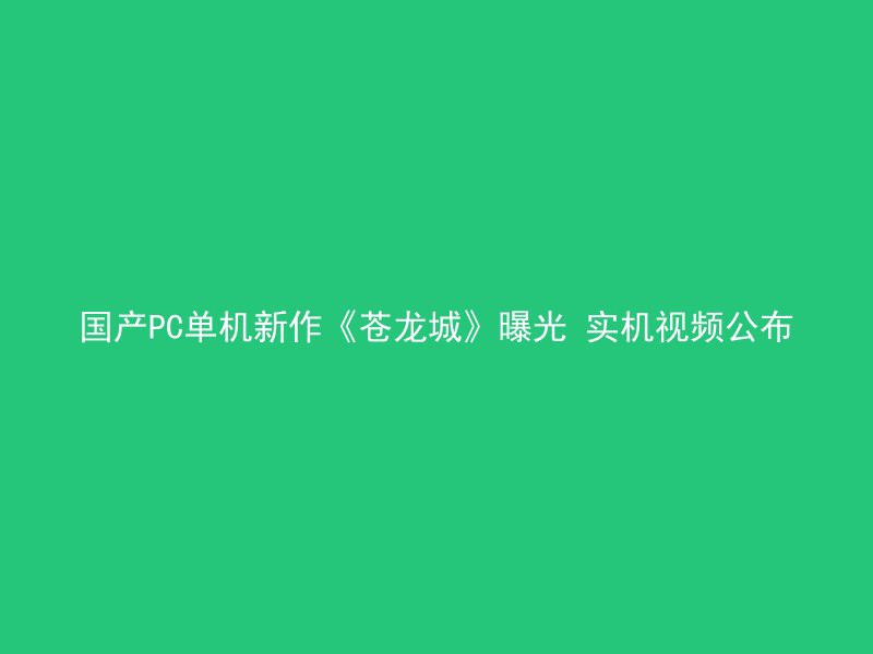 国产PC单机新作《苍龙城》曝光 实机视频公布