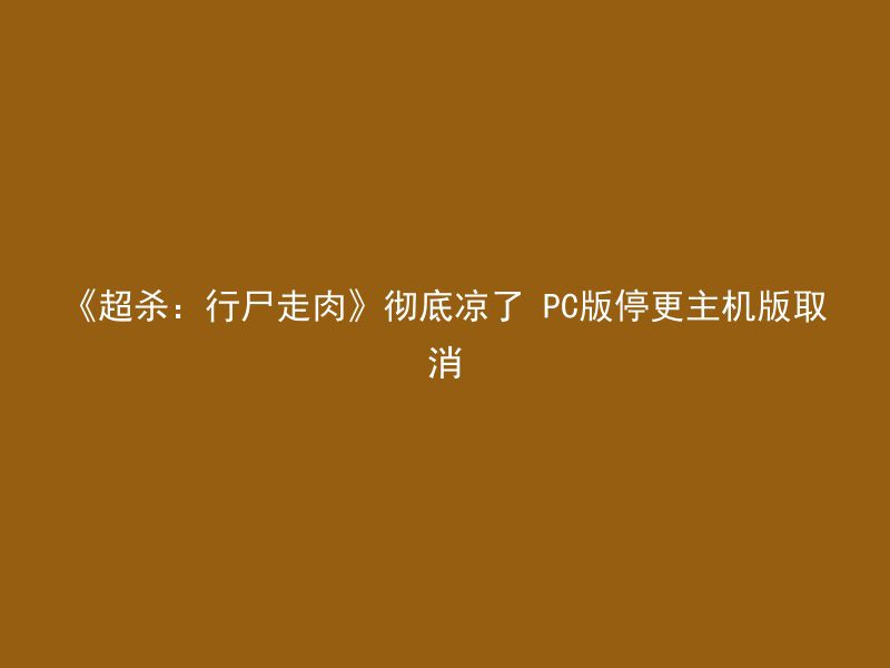 《超杀：行尸走肉》彻底凉了 PC版停更主机版取消