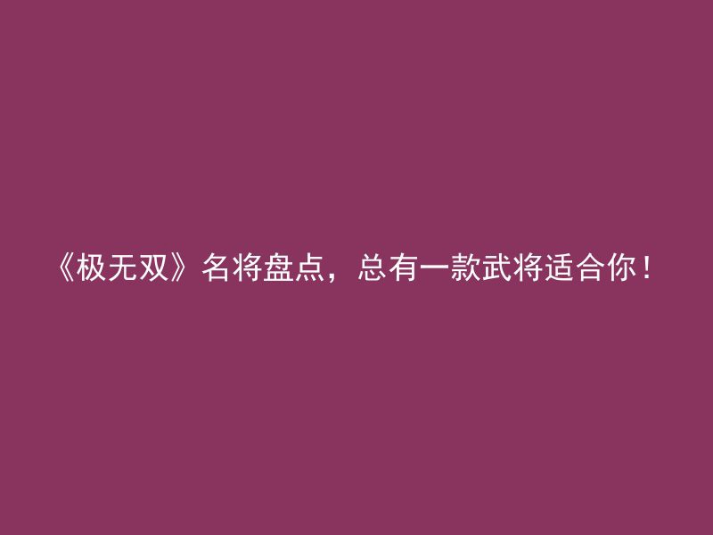 《极无双》名将盘点，总有一款武将适合你！