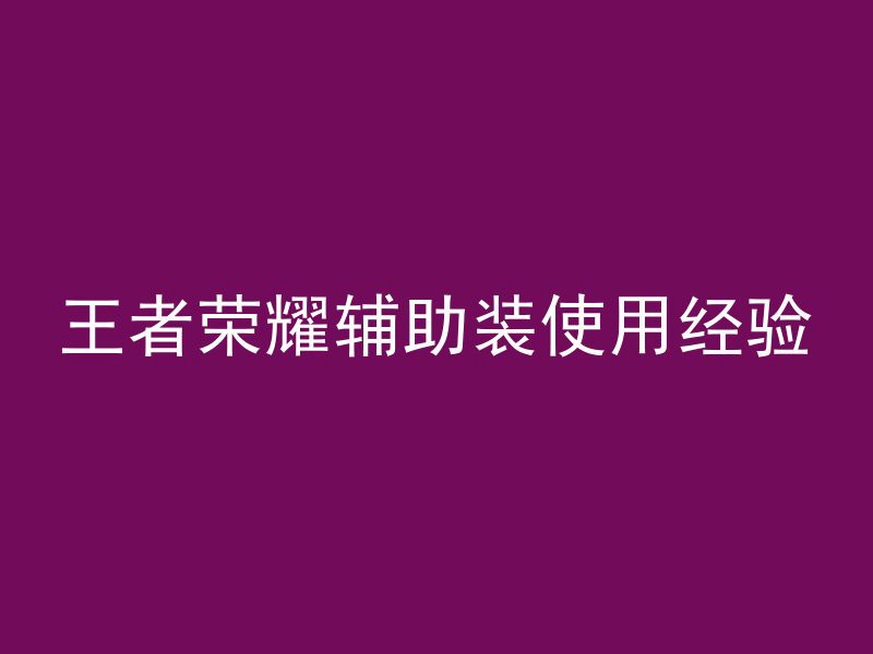 王者荣耀辅助装使用经验