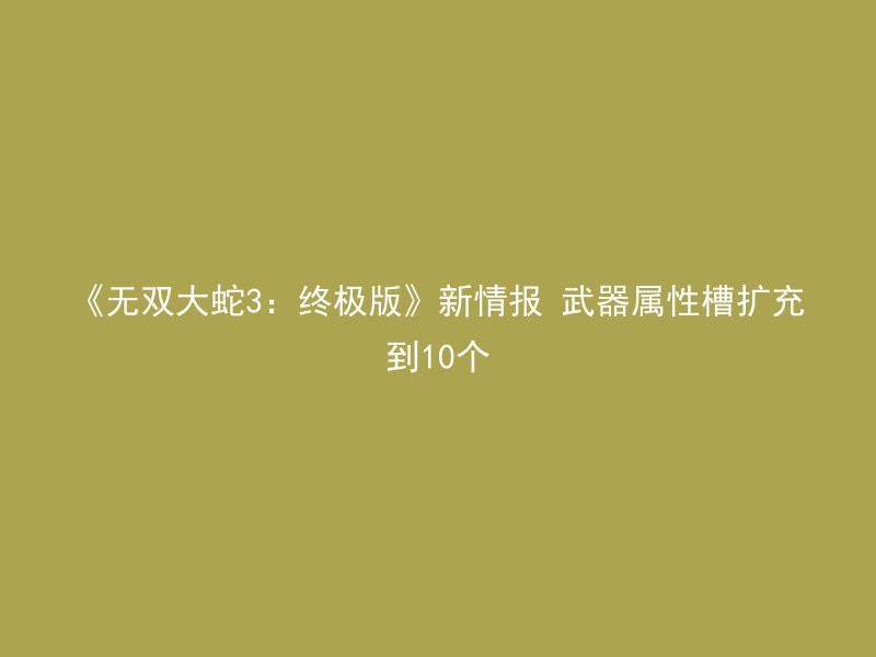 《无双大蛇3：终极版》新情报 武器属性槽扩充到10个