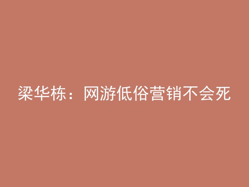 梁华栋：网游低俗营销不会死