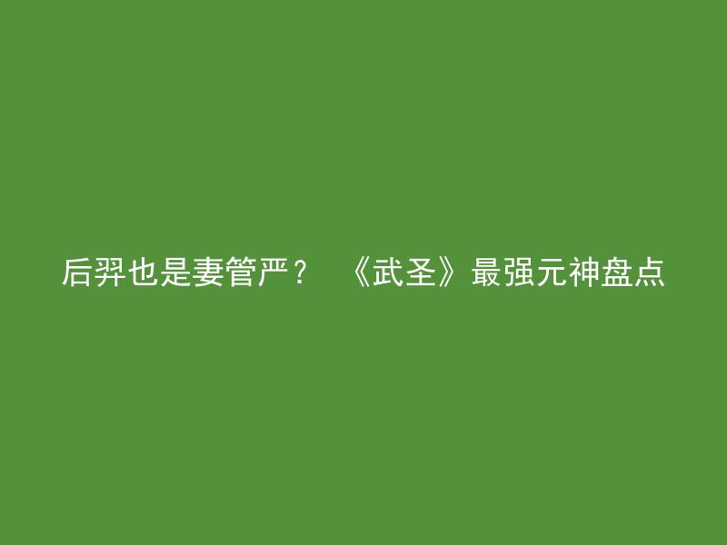 后羿也是妻管严？ 《武圣》最强元神盘点