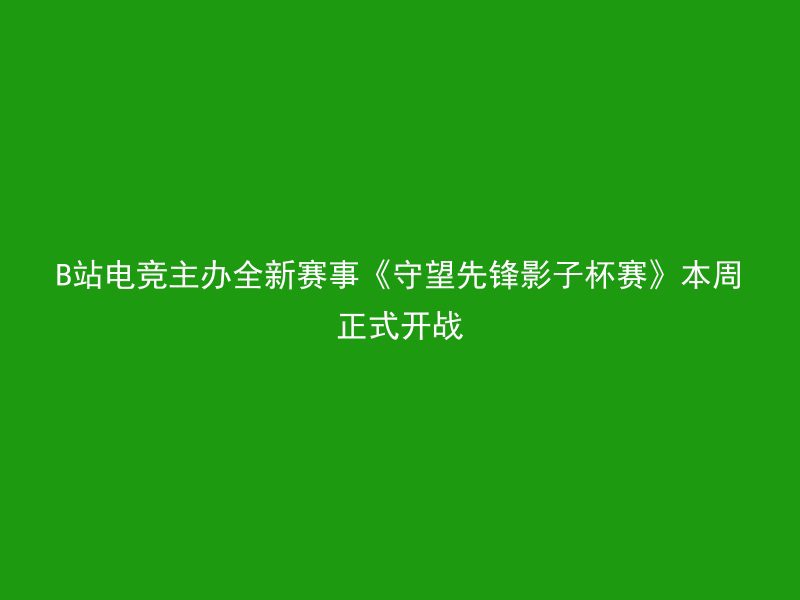 B站电竞主办全新赛事《守望先锋影子杯赛》本周正式开战