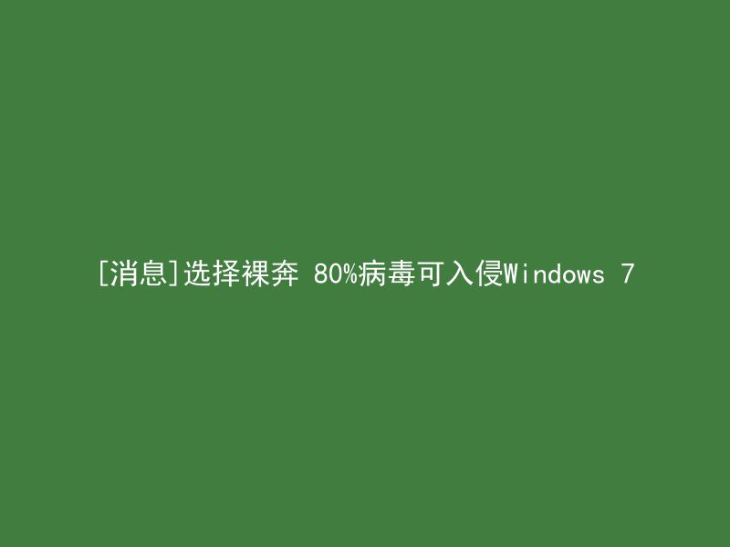 [消息]选择裸奔 80%病毒可入侵Windows 7