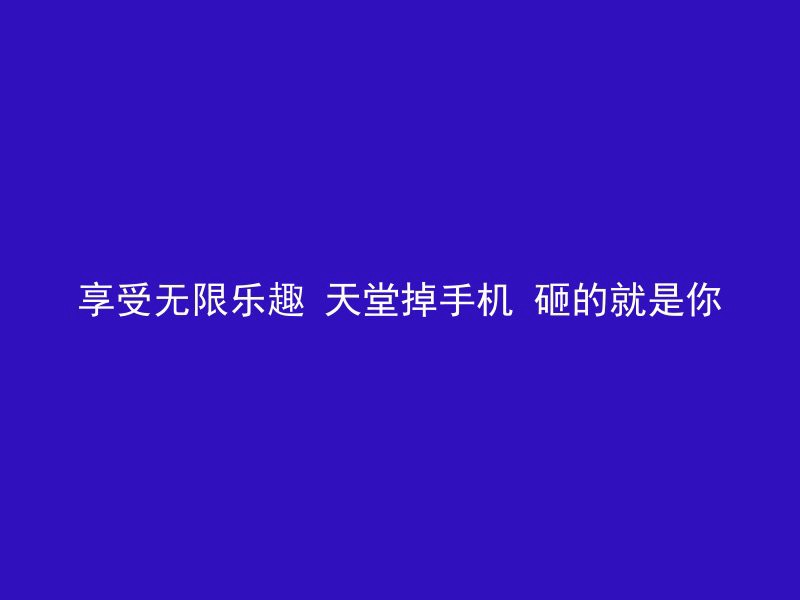 享受无限乐趣 天堂掉手机 砸的就是你