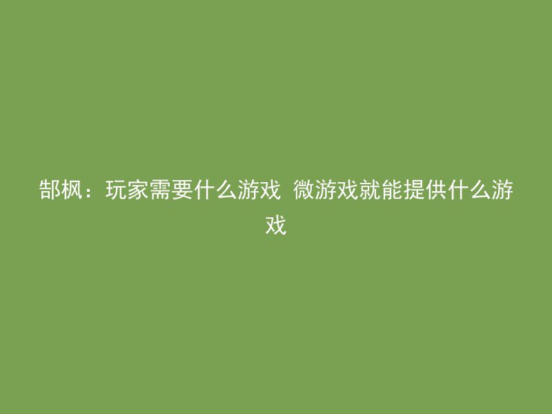 郜枫：玩家需要什么游戏 微游戏就能提供什么游戏