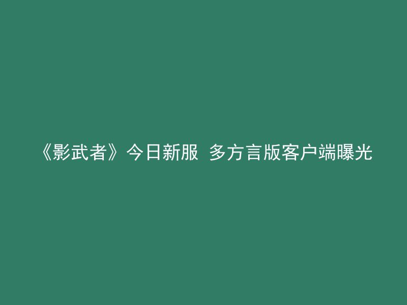 《影武者》今日新服 多方言版客户端曝光