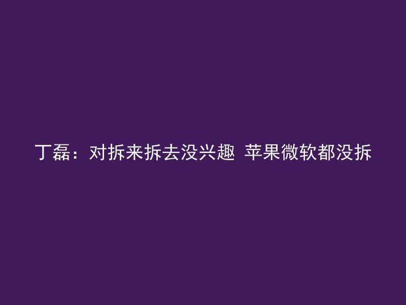 丁磊：对拆来拆去没兴趣 苹果微软都没拆