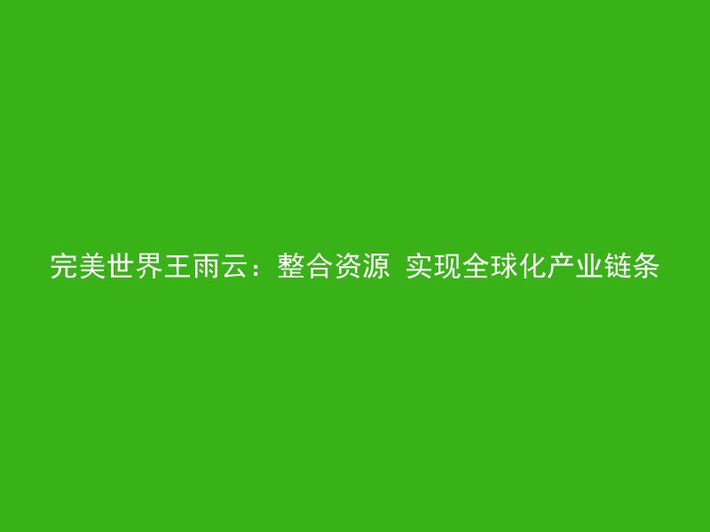 完美世界王雨云：整合资源 实现全球化产业链条