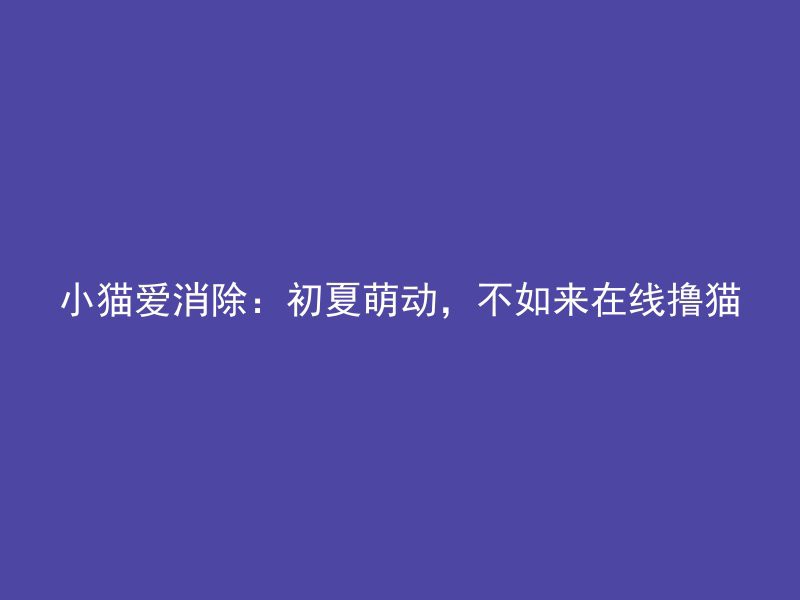 小猫爱消除：初夏萌动，不如来在线撸猫