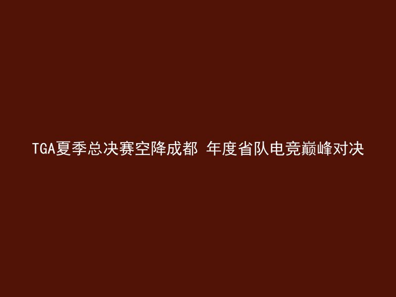 TGA夏季总决赛空降成都 年度省队电竞巅峰对决