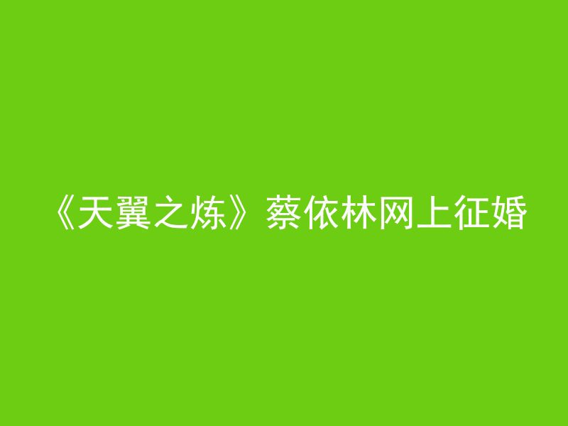 《天翼之炼》蔡依林网上征婚