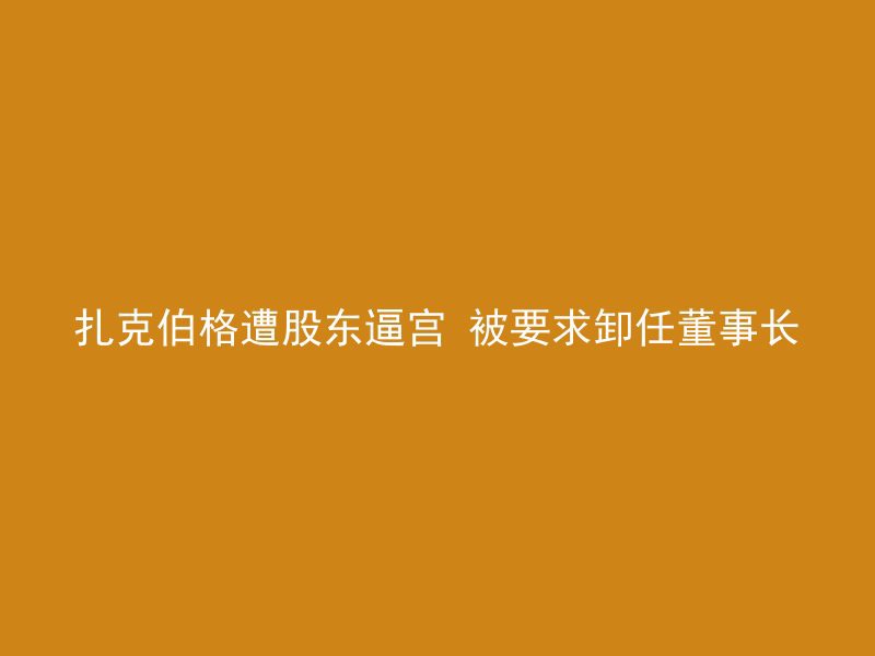 扎克伯格遭股东逼宫 被要求卸任董事长